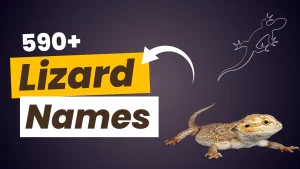 Lizard Names 